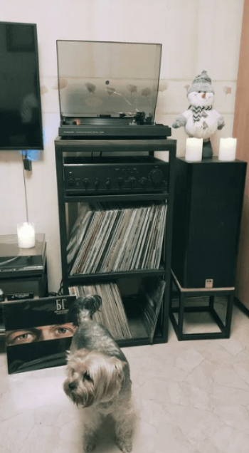Стойка для Hi-Fi аппаратуры, ТВ тумба, Стойка для акустической системы
