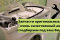 Снимок экрана 2022-11-01 152650